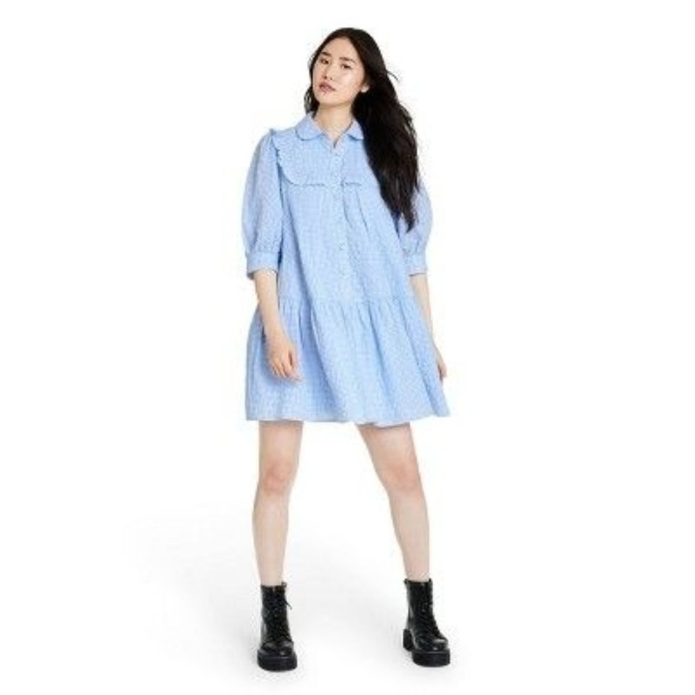 Sandy Liang x Target Blue Gingham 3/4 Sleeve Shirtdress